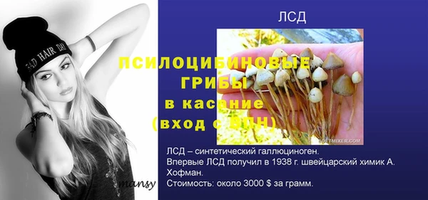 apvp Алексин