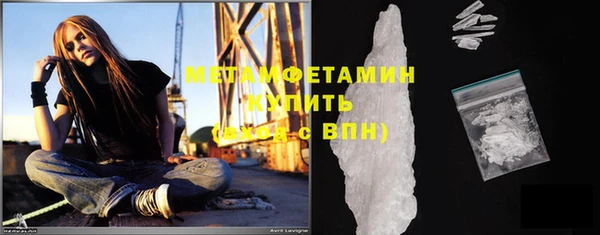 прущие грибы Осинники