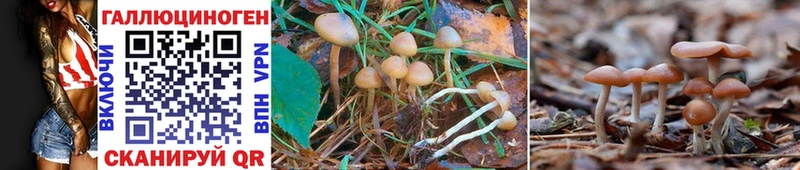 Галлюциногенные грибы Magic Shrooms где найти наркотики hydra зеркало Яхрома